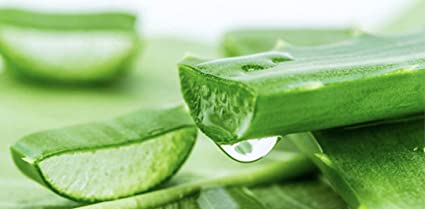 (Holika Holika) Aloe 99% Soothing Gel- 55ml